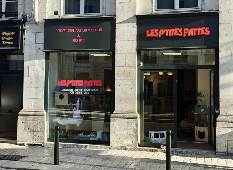 Concept store pour chiens et chats - vente de produits de qualité et dog wash en libre service