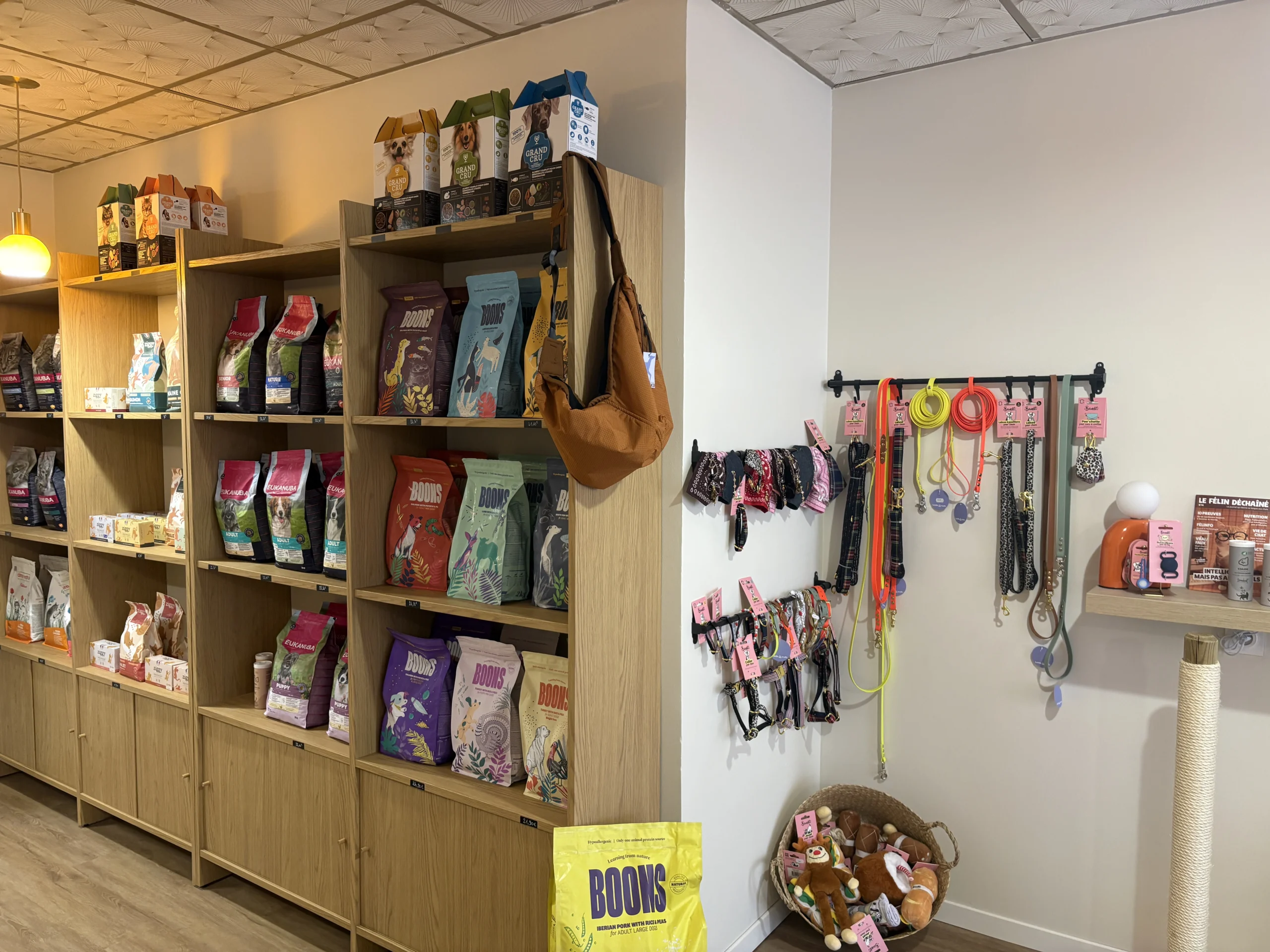 Les p'tites pattes - rue jeanne d'arc Orléans - concept store chiens et chats